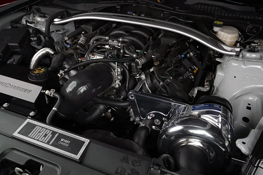 ProCharger 2018-23 Mustang GT, C/S, Mach 1 & Bullitt (5.0) Stage 1 Intercooled System With Factory Airbox And P-1SC-1 (shared Drive) 1FW613-SCI