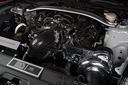 ProCharger 2018-23 Mustang GT, C/S, Mach 1 & Bullitt (5.0) Stage 1 Intercooled System With Factory Airbox And P-1SC-1 (shared Drive) 1FW613-SCI