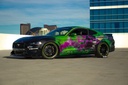 ProCharger 2015-17 Mustang GT (5.0 4V) Stage 3 Intercooled System With P-1X (dedicated Drive) 1FW212-SCI