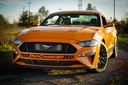 ProCharger 2018-23 Mustang GT, C/S, Mach 1 & Bullitt (5.0 4V) Stage 3 Intercooled System With P-1X (dedicated Drive) 1FW612-SCI