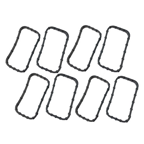 Performance World Rec Port Intake Gaskets 646123